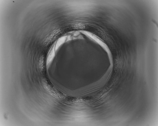 X0000102480600200808291629