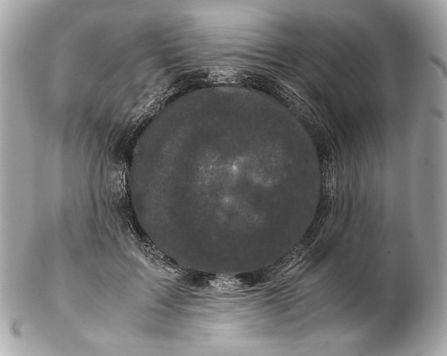 X0000102480603200808291629