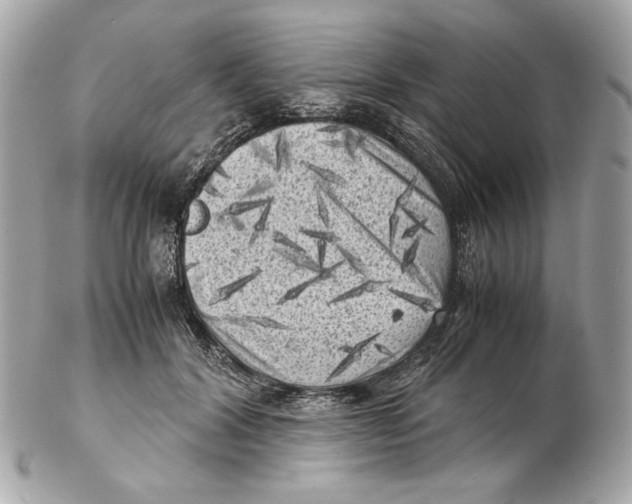 X0000102480604200808291629