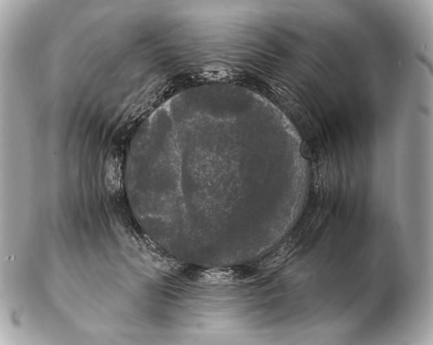 X0000102480606200808291629