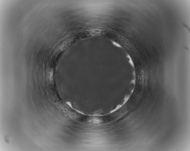 X0000102480610200808291628