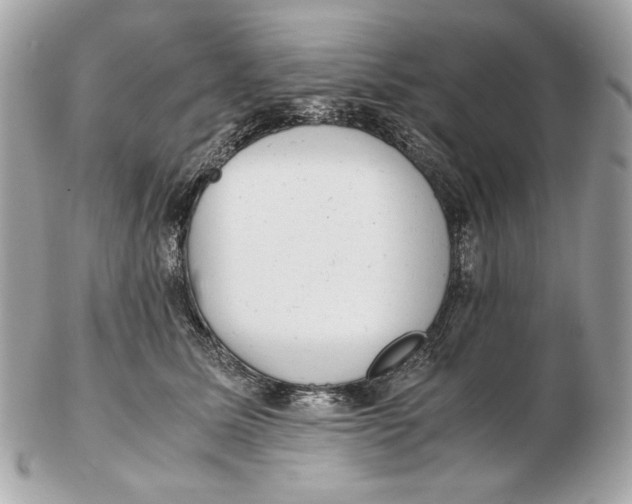 X0000102480611200808291628