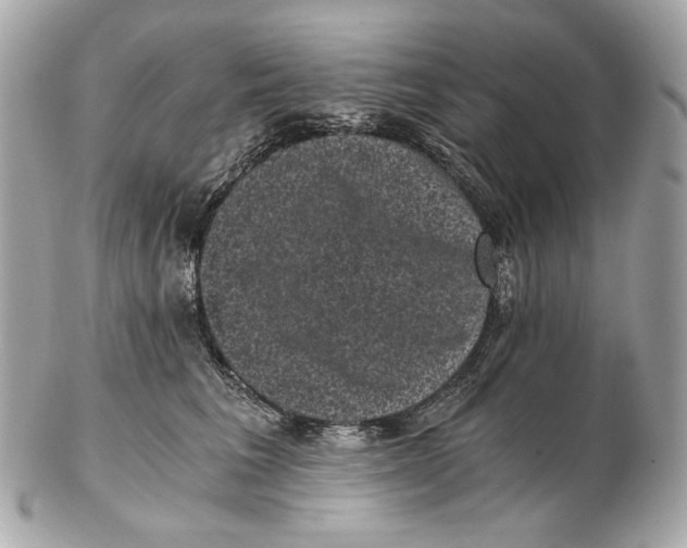 X0000102480613200808291628