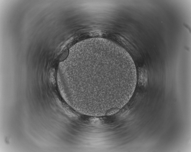 X0000102480616200808291628