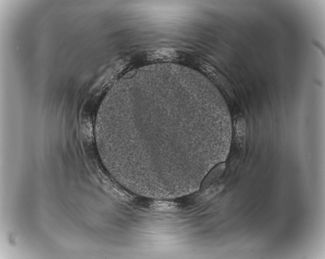 X0000102480617200808291628