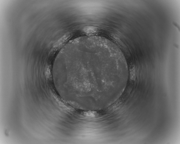 X0000102480618200808291628