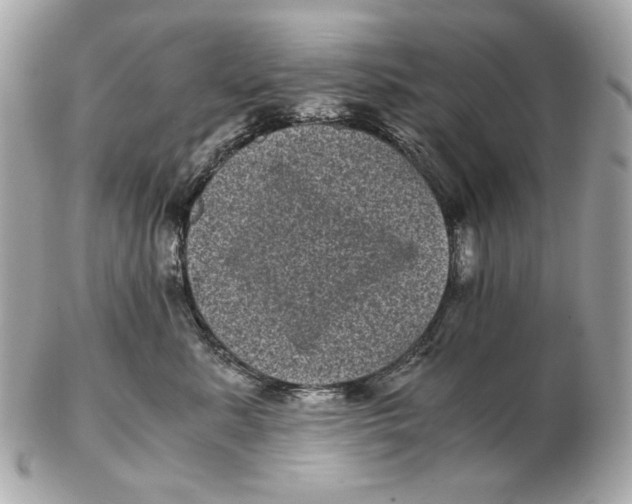 X0000102480619200808291628