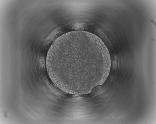 X0000102480620200808291628