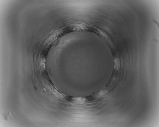 X0000102480621200808291628