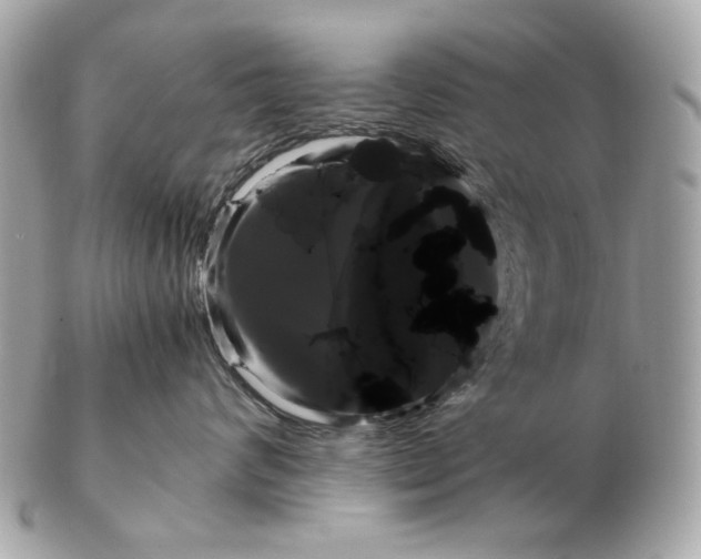 X0000102480624200808291628