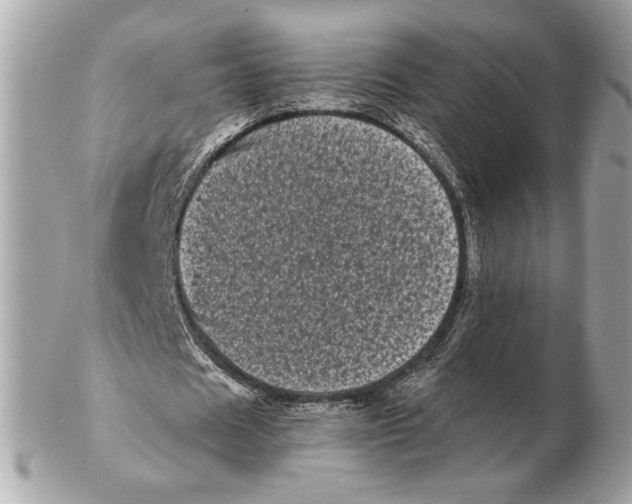 X0000102480625200808291628