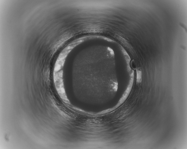 X0000102480627200808291628