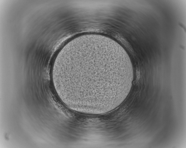 X0000102480628200808291628