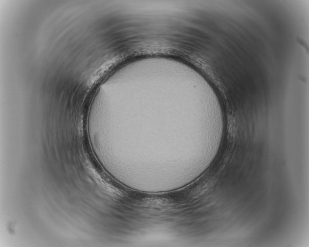 X0000102480629200808291628