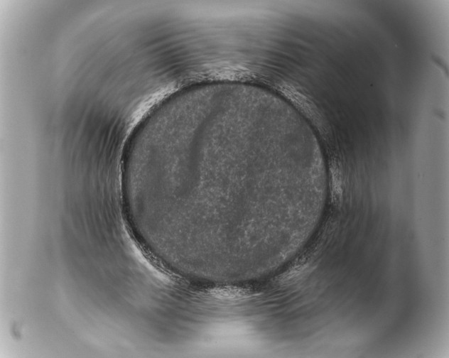 X0000102480630200808291628