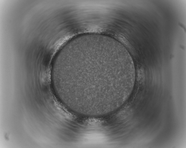 X0000102480632200808291628