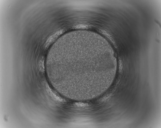 X0000102480633200808291628