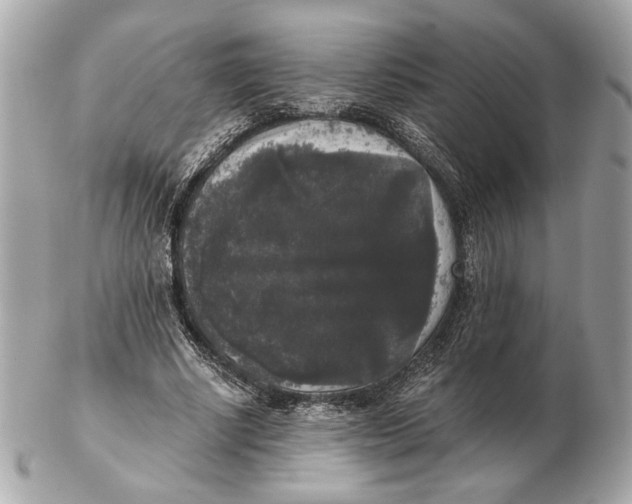 X0000102480634200808291628