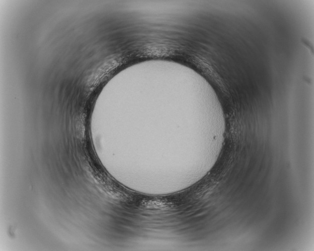 X0000102480635200808291628