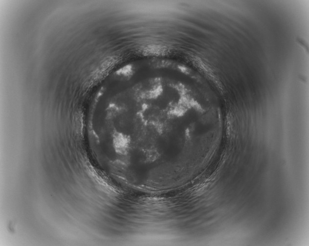 X0000102480637200808291628