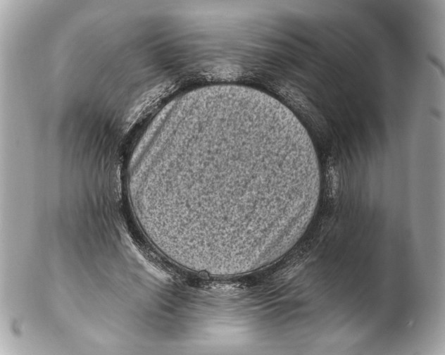 X0000102480638200808291628