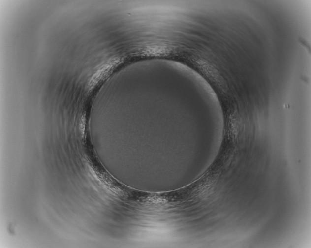 X0000102480640200808291628