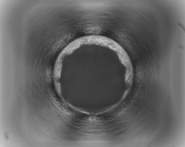 X0000102480641200808291628