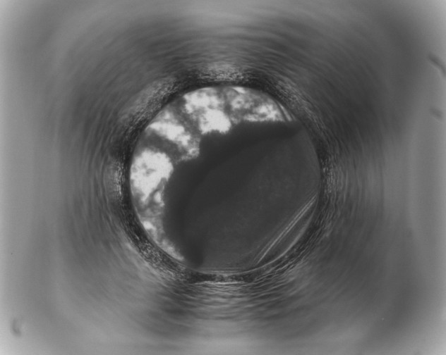 X0000102480643200808291628