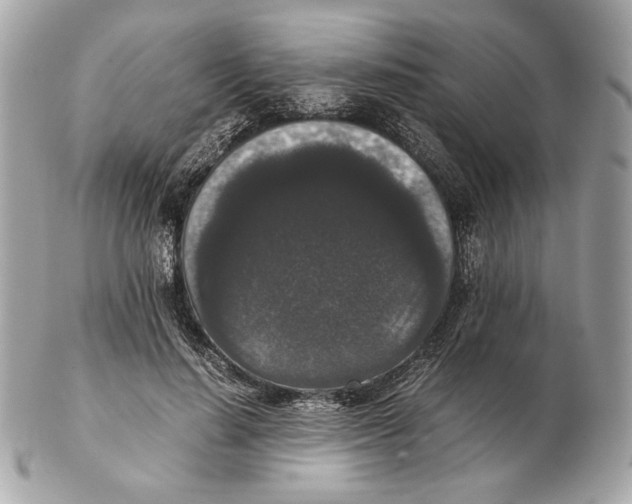 X0000102480644200808291628