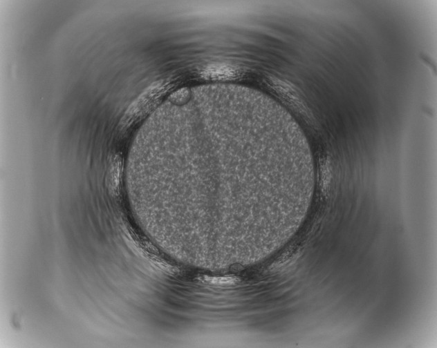 X0000102480645200808291628