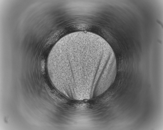 X0000102480646200808291628