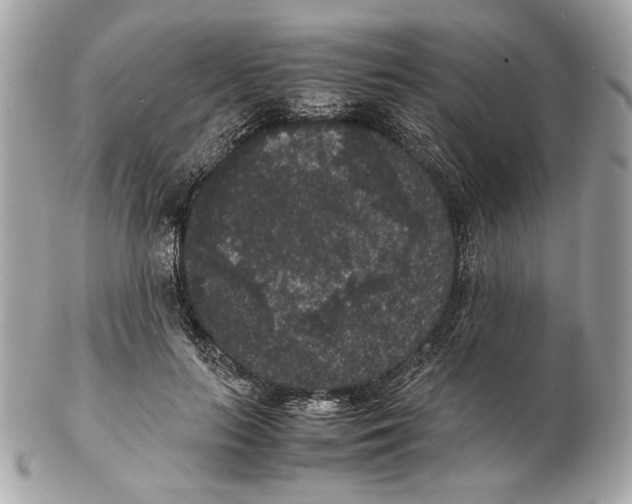 X0000102480647200808291628