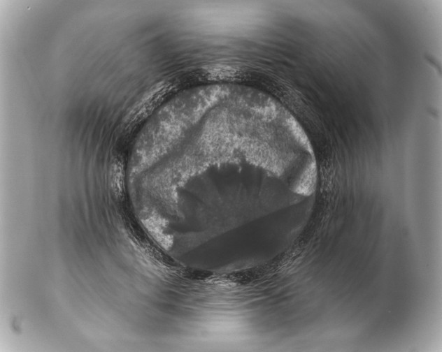 X0000102480648200808291628