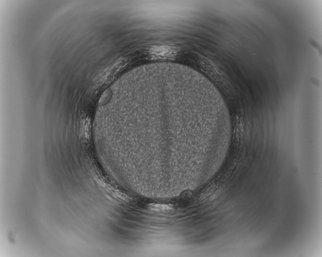 X0000102480649200808291628