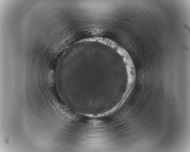 X0000102480650200808291628