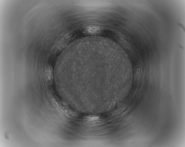 X0000102480651200808291628