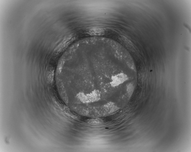 X0000102480652200808291628