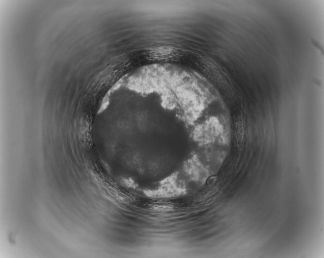 X0000102480653200808291628