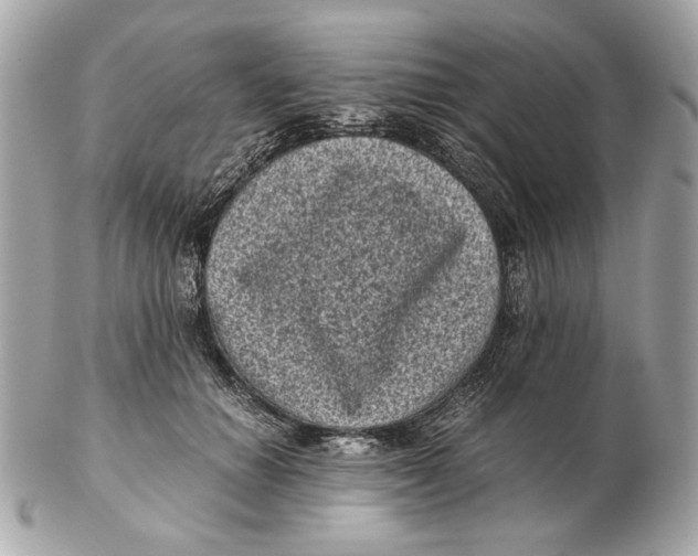 X0000102480654200808291628