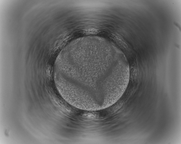 X0000102480655200808291628