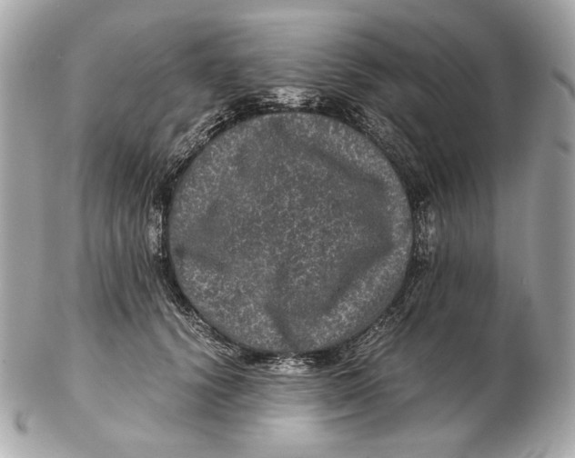 X0000102480656200808291628