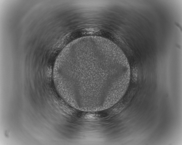 X0000102480657200808291628