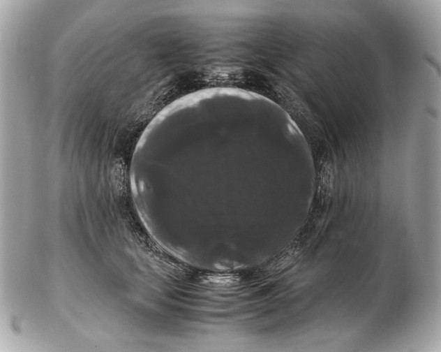 X0000102480659200808291628