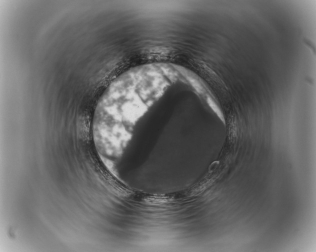 X0000102480661200808291628