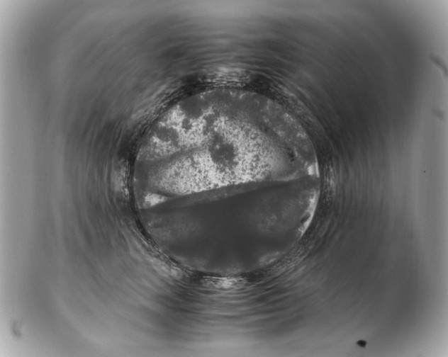 X0000102480663200808291628