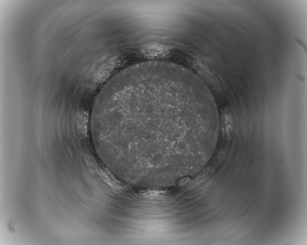 X0000102480664200808291628