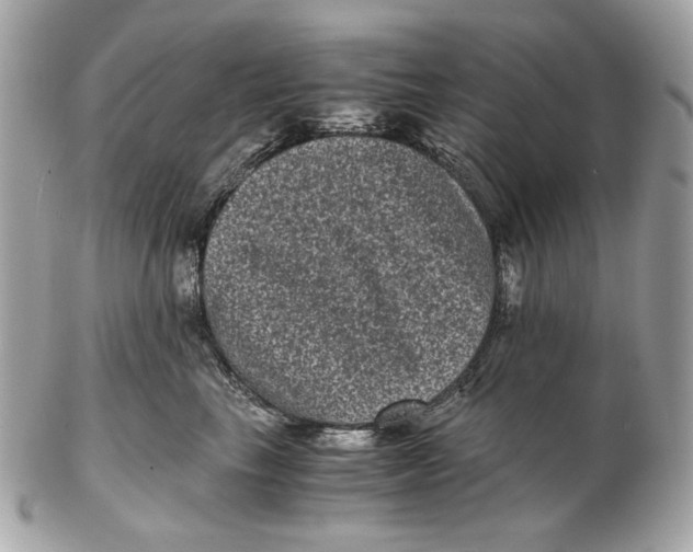 X0000102480665200808291628