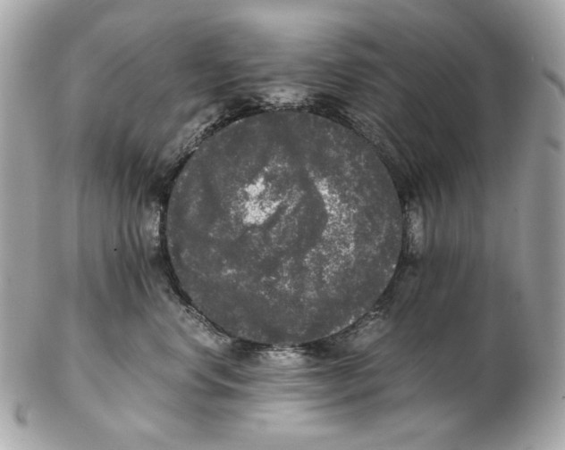 X0000102480668200808291628