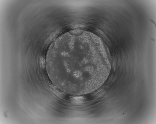 X0000102480669200808291628