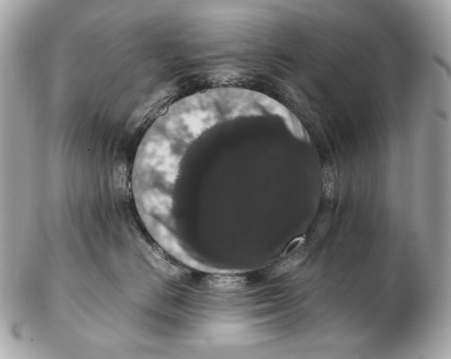 X0000102480670200808291628